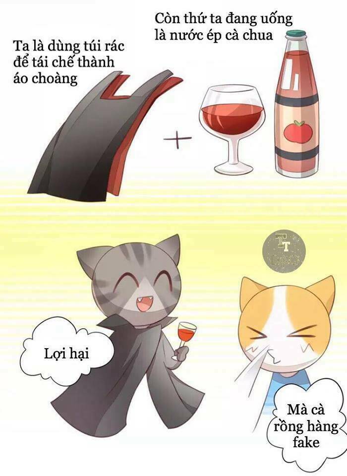 dưới móng vuốt mèo chapter 18 42