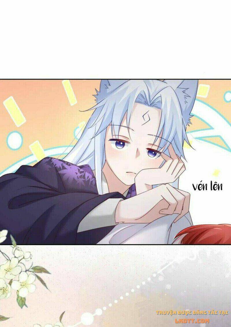 hắc hóa nam chính trực tuyến nuôi thỏ chapter 59 34