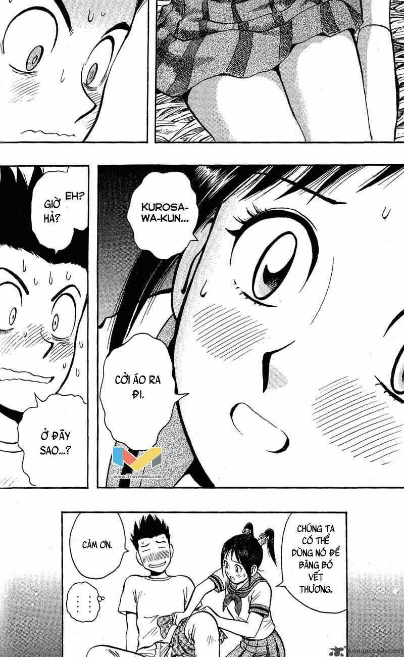 animal sense chapter 11 10