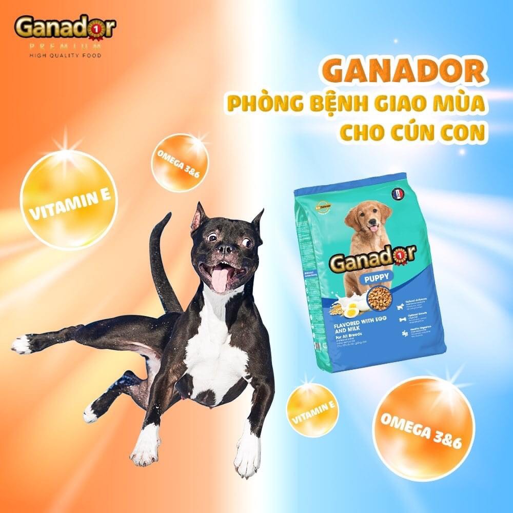 Thức ăn chó nhỏ Ganador Puppy vị Trứng và Sữa - Gói 400g