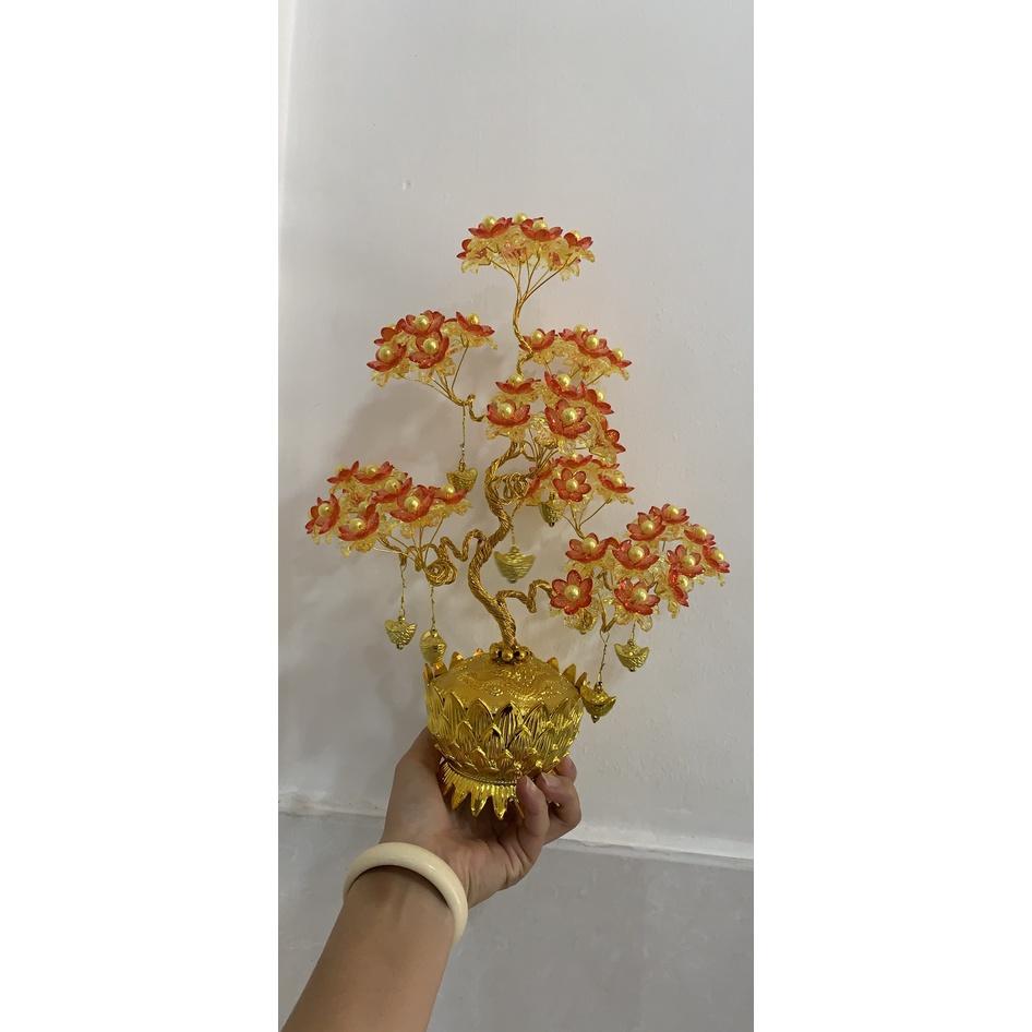 Chậu sen với hoa pha lê cao 30cm