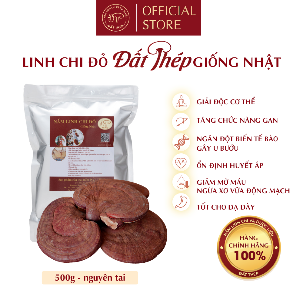 Trà Nấm Linh Chi Đỏ Đất Thép Giống Nhật 500g - Giải độc gan - Ổn định đường huyết