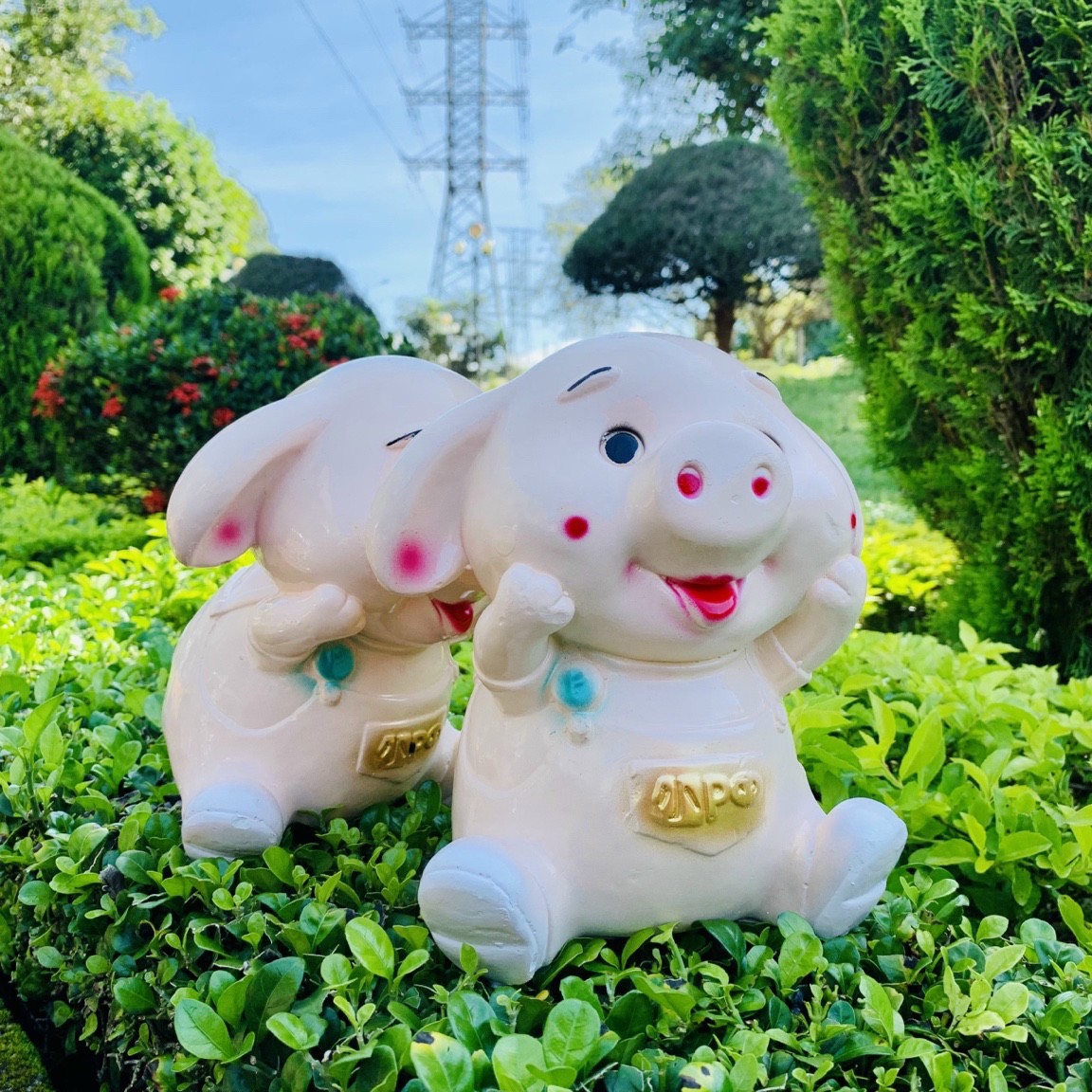 Heo đất dễ thương HEO11