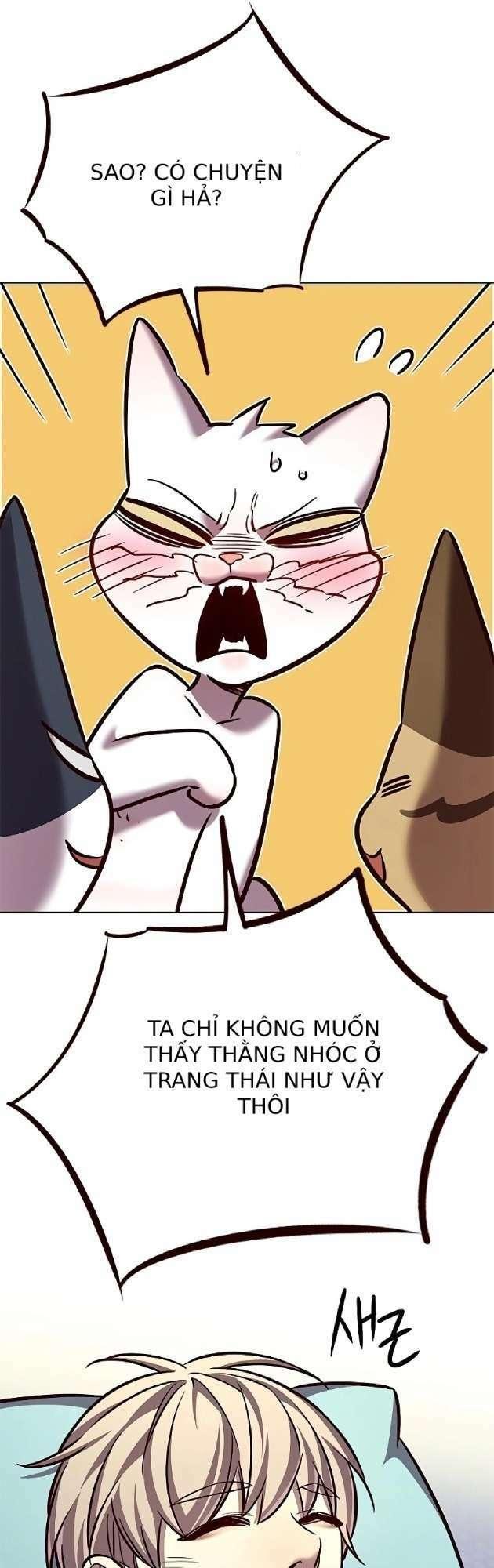 biến thân thành mèo chapter 262 60