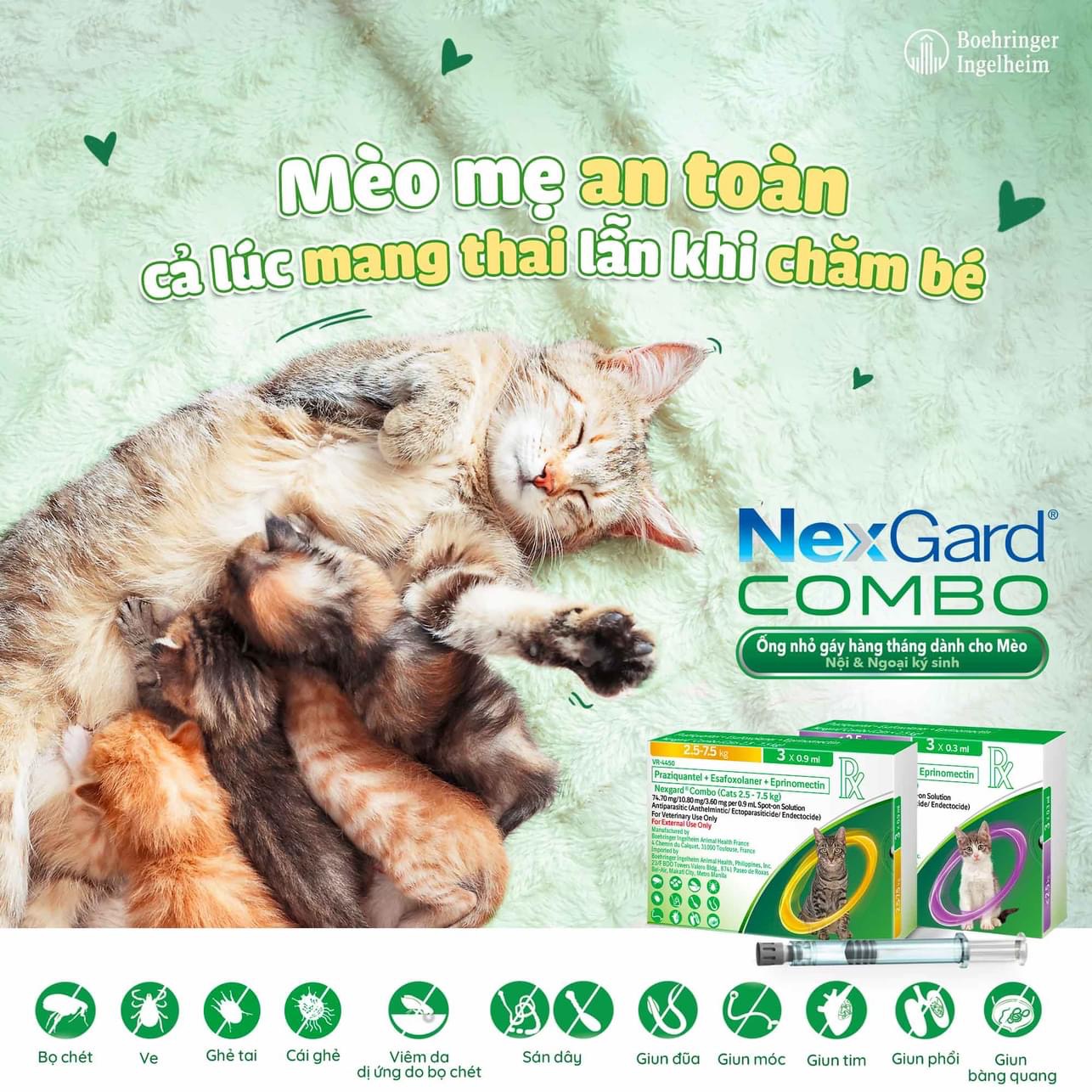 Nexgard Combo diệt nội ngoại ký sinh trùng (mèo 2,5 - 7,5kg)