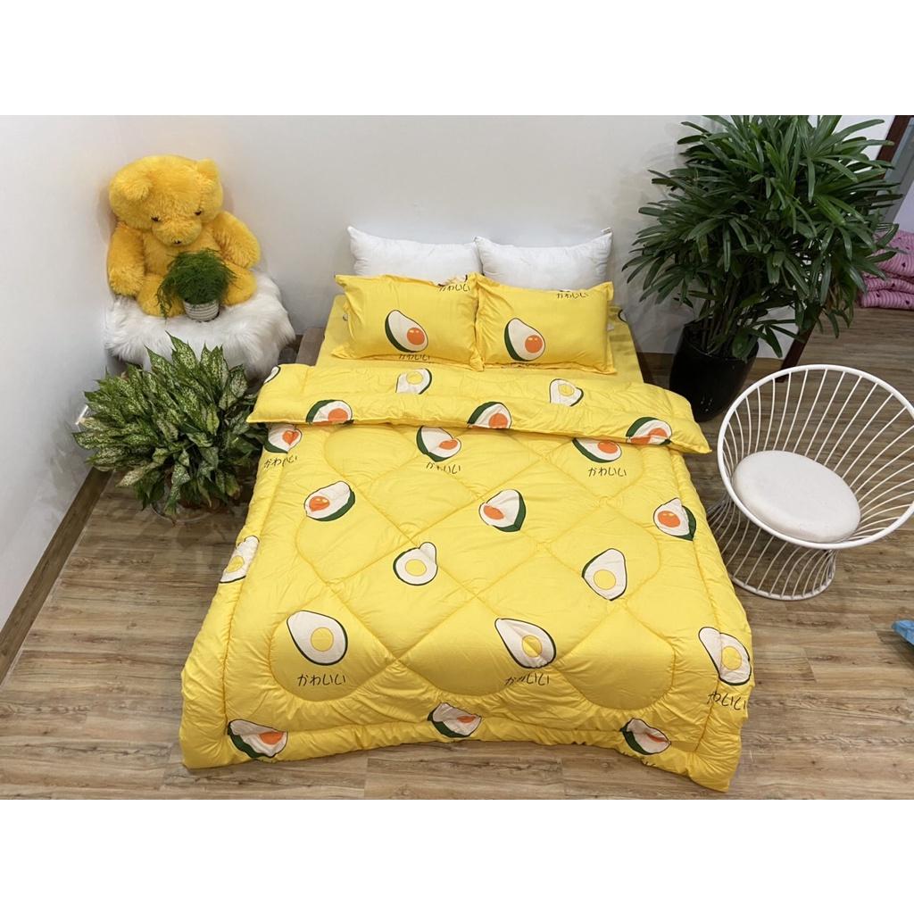 Set phao 5 món siêu rẻ