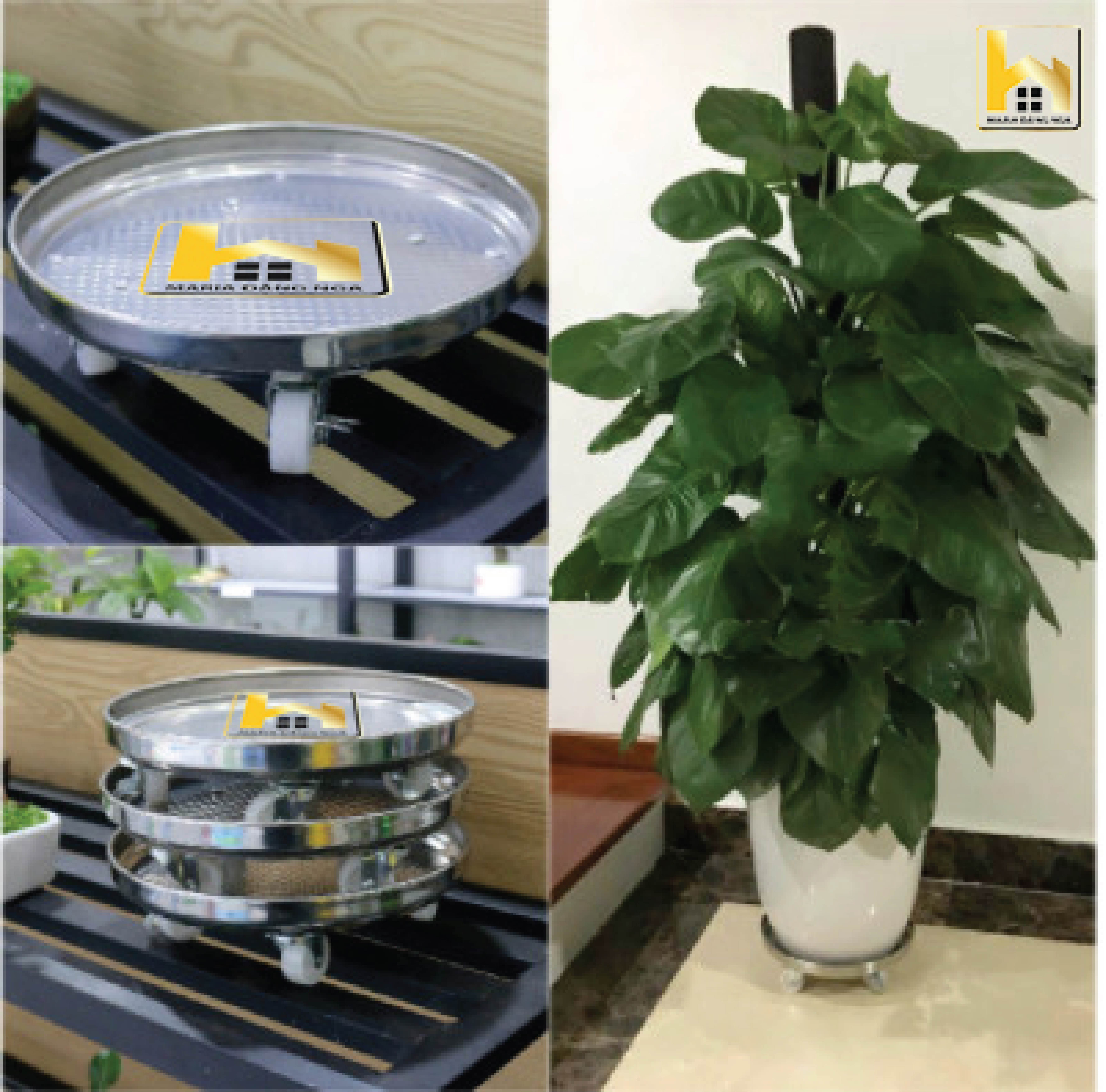 ĐẾ CHẬU CÂY,ĐẾ CHẬU HOA,ĐẾ CHẬU BÔNG CÓ BÁNH XE
