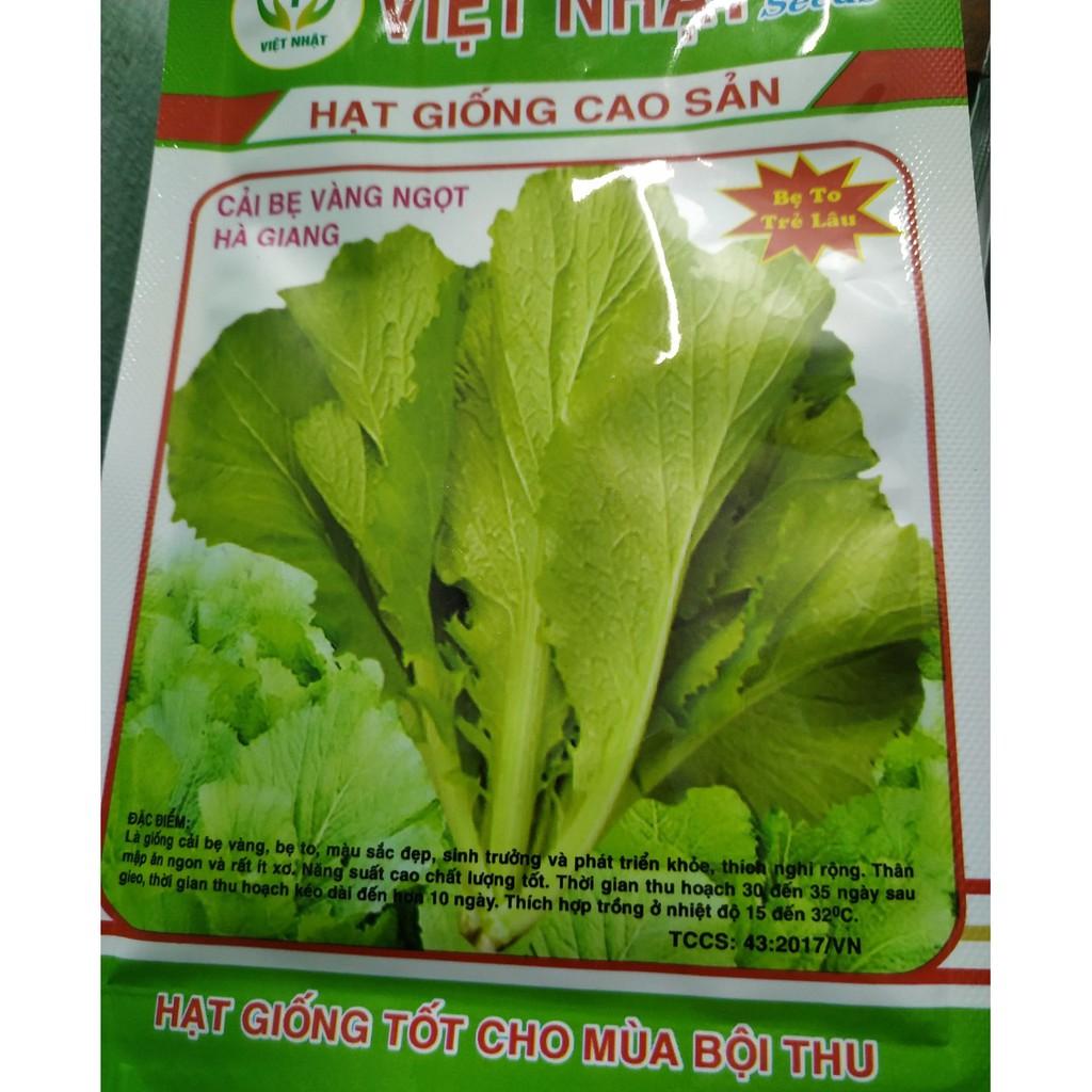 Hạt giống cải bẹ trắng lá vàng PN-01