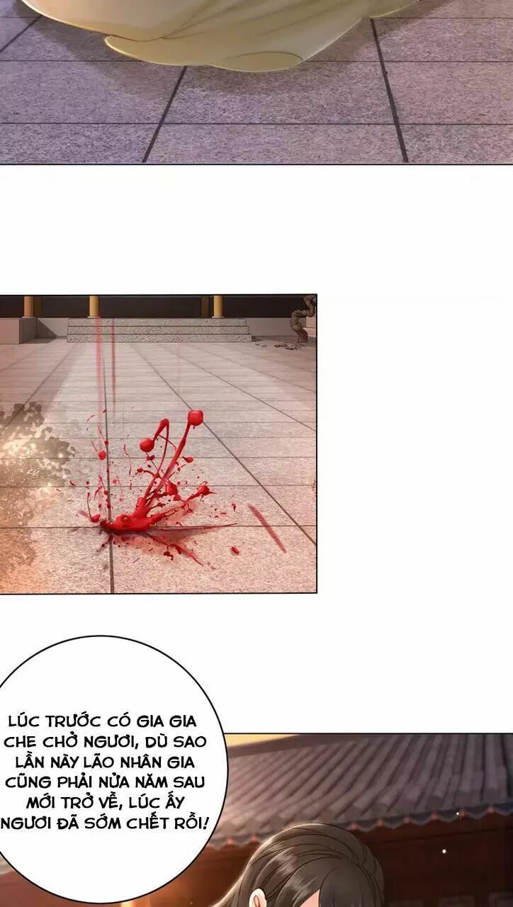 cực phẩm phế vật tiểu thư chapter 2 27