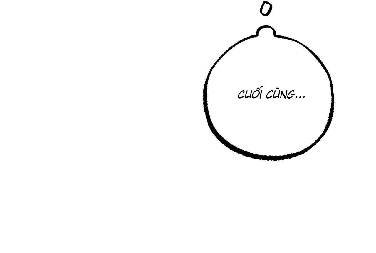 những chú thỏ của hapypy chapter 61 238