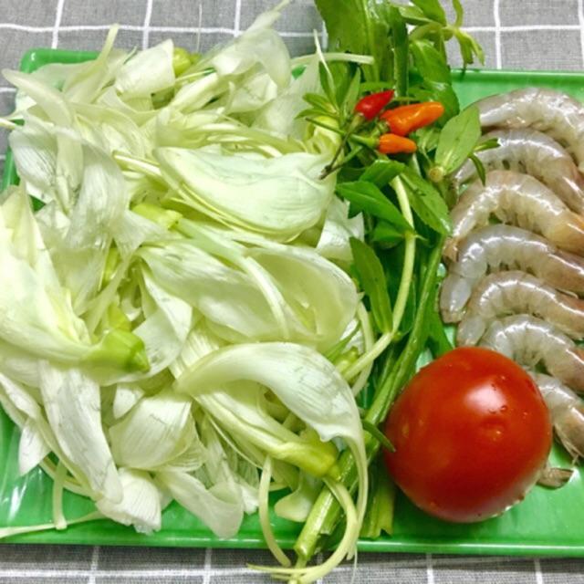 HẠT GIỐNG BÔNG SO ĐŨA MÓNG CHIM