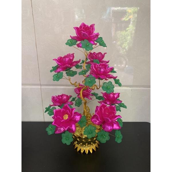 Chậu hoa sen cao 35cm