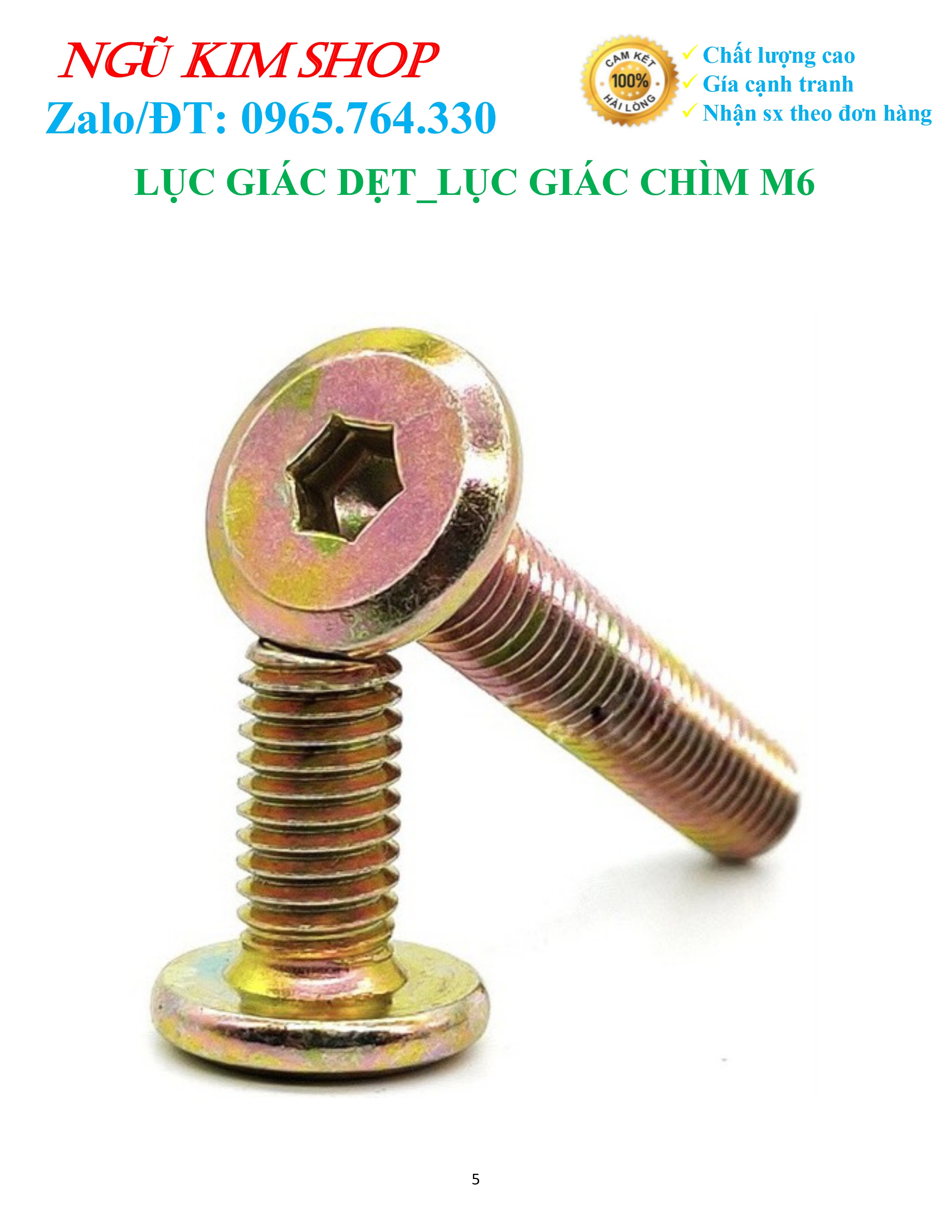 LỤC GIÁC DẸP _ BULONG LỤC GIÁC CHÌM M6 x L