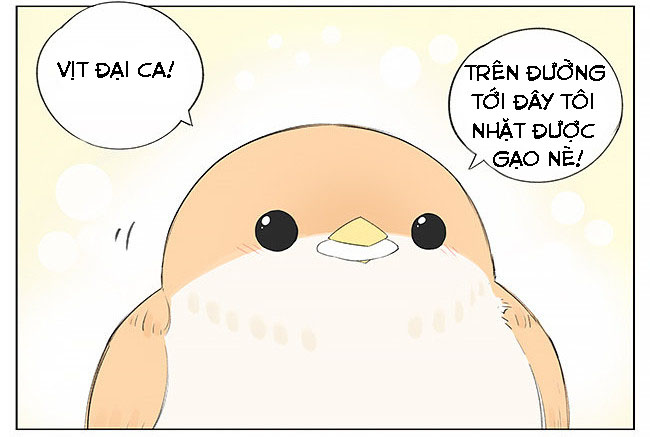 sẻ chiếu mới và nhạn phong sương chapter 9 5