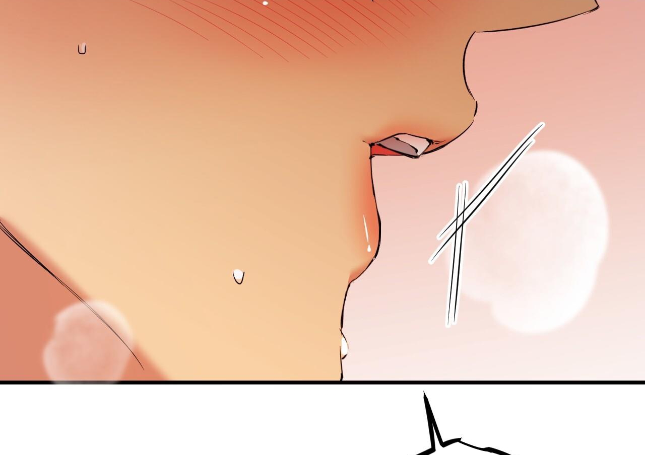 đàn thỏ của habibi chapter 63 147