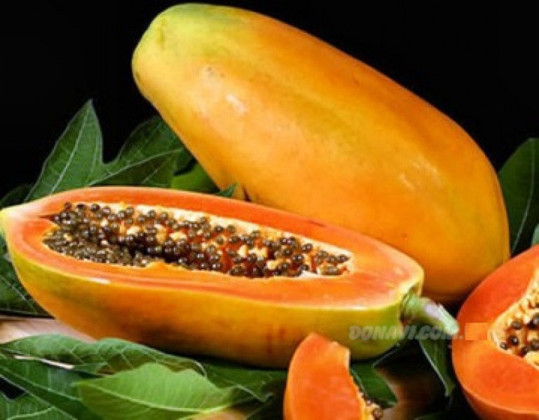 Hạt Giống Đu Đủ Ruột Đỏ F1 - Đu Đủ Năng Suất Cao Ngon Ngọt - Gói 5 Hạt