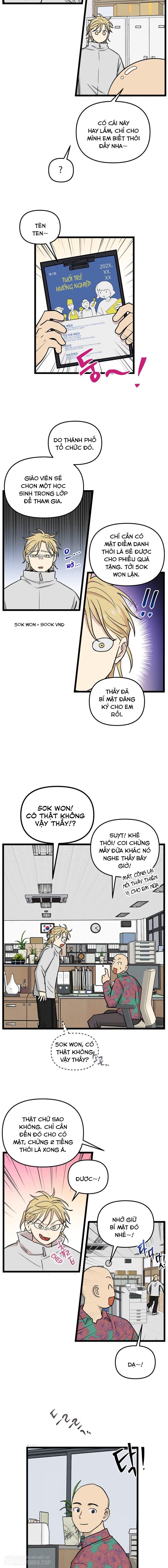 no home - không nhà chapter 219 7