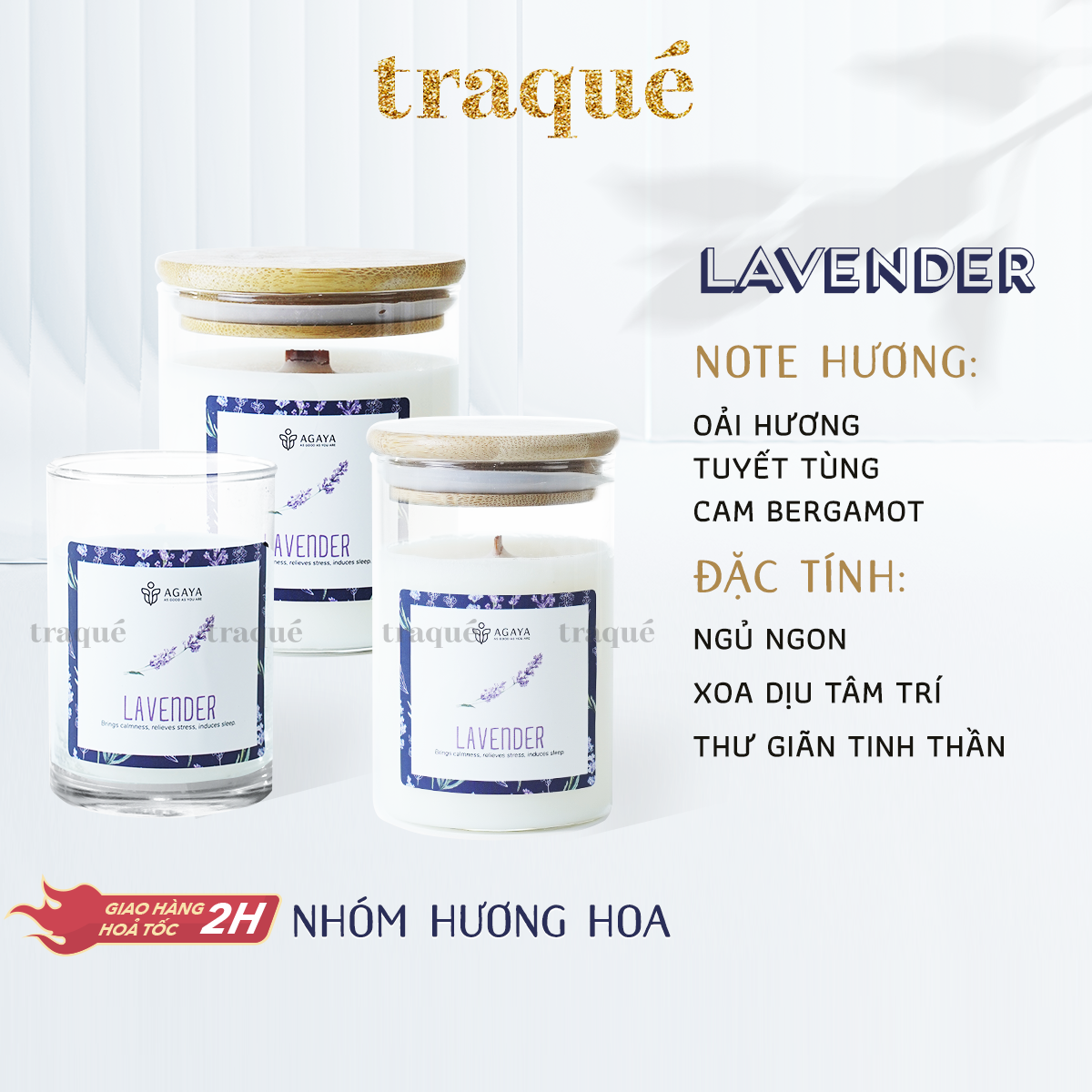 Hình ảnh Nến thơm Candle Cup/Agaya - Hương Gỗ TEAKWOOD