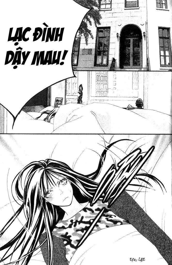 steel rose chapter 16 6