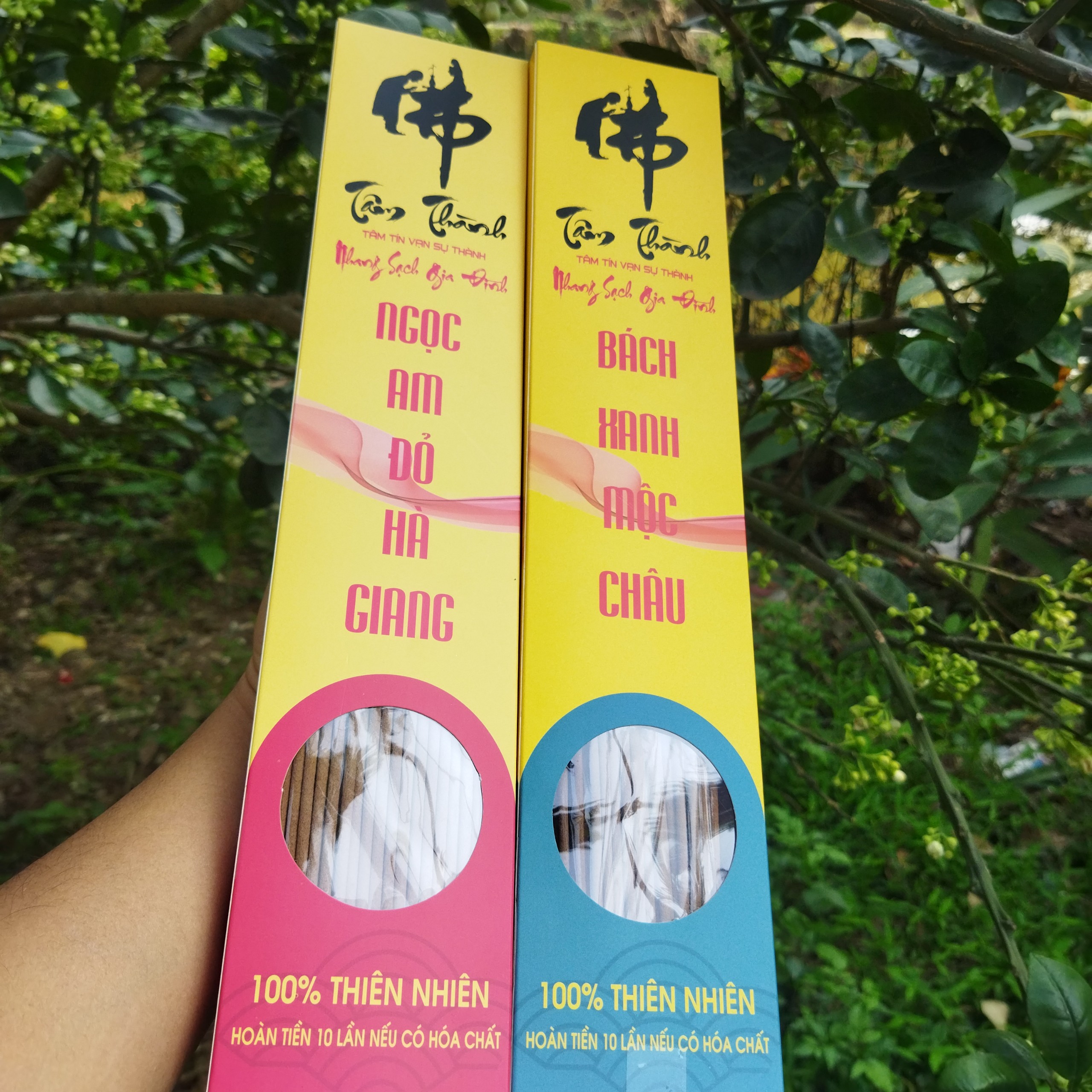 Hương Hoàng_Đàn Tuyết Lạng Sơn_Nhang Hoàng_Đàn_Nhang Bách_Xanh_Nhang Ngọc_Am_Cam Kết 100% Không Hóa Chất.