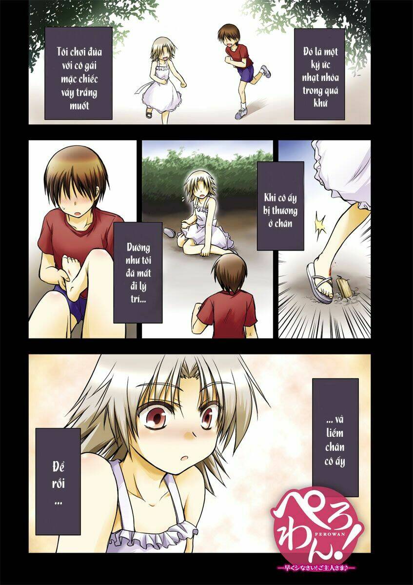 perowan! - hayaku shinasai! goshujin-sama chapter 1 1