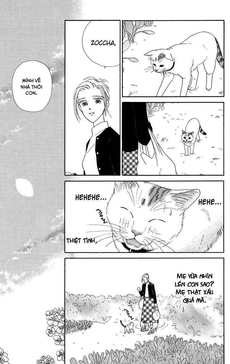 cuộc sống thường nhật của mèo zaccho chapter 1 15