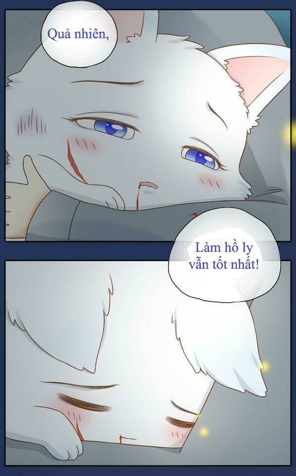 tiểu hồ ly vs tiểu hóa thượng chapter 8 12