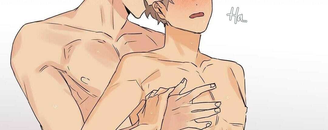 guide cấp b chapter 38 95