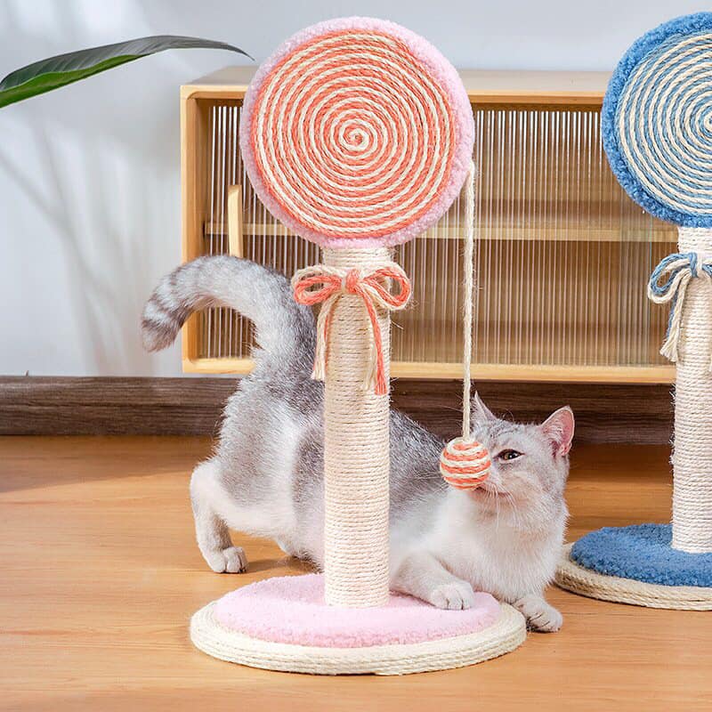 Trụ cào móng hình cây kẹo đáng yêu dành cho mèo