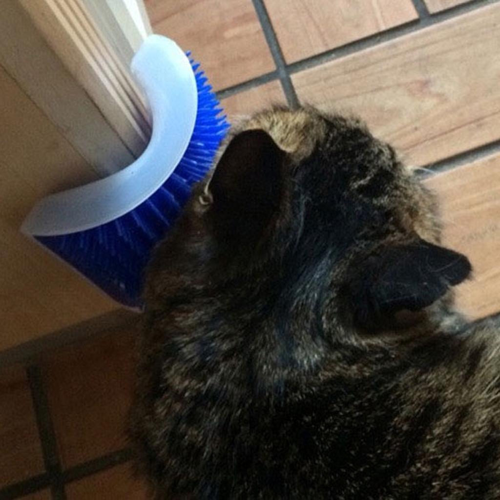 Dog Cat Bath Brush Comb Hair Rubber Glove and Cat Groomer Corner Blue