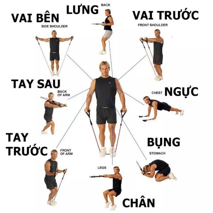 Bộ 5 Dây Ngũ Sắc Tập Full Body - Dụng Cụ Tập Gym.