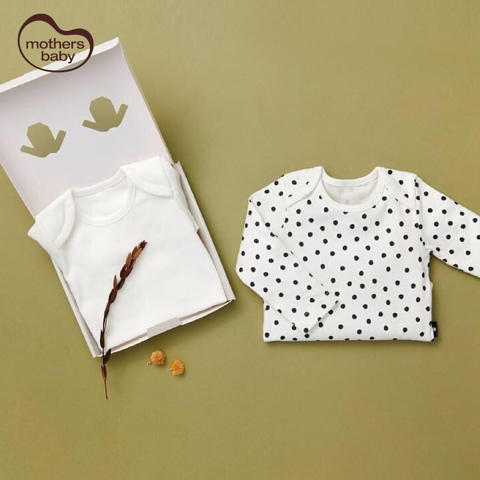 Set 2 Bodysuit Sơ Sinh Chất Liệu Cotton Cao Cấp, Đóng Hộp Xinh Xắn - Thương hiệu Angel B, Mothersbaby Hàn Quốc