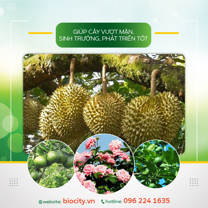 Phân thuốc sinh học phục hồi đất nhiễm mặn, nâng pH đất - Fresh Soil 1 lit