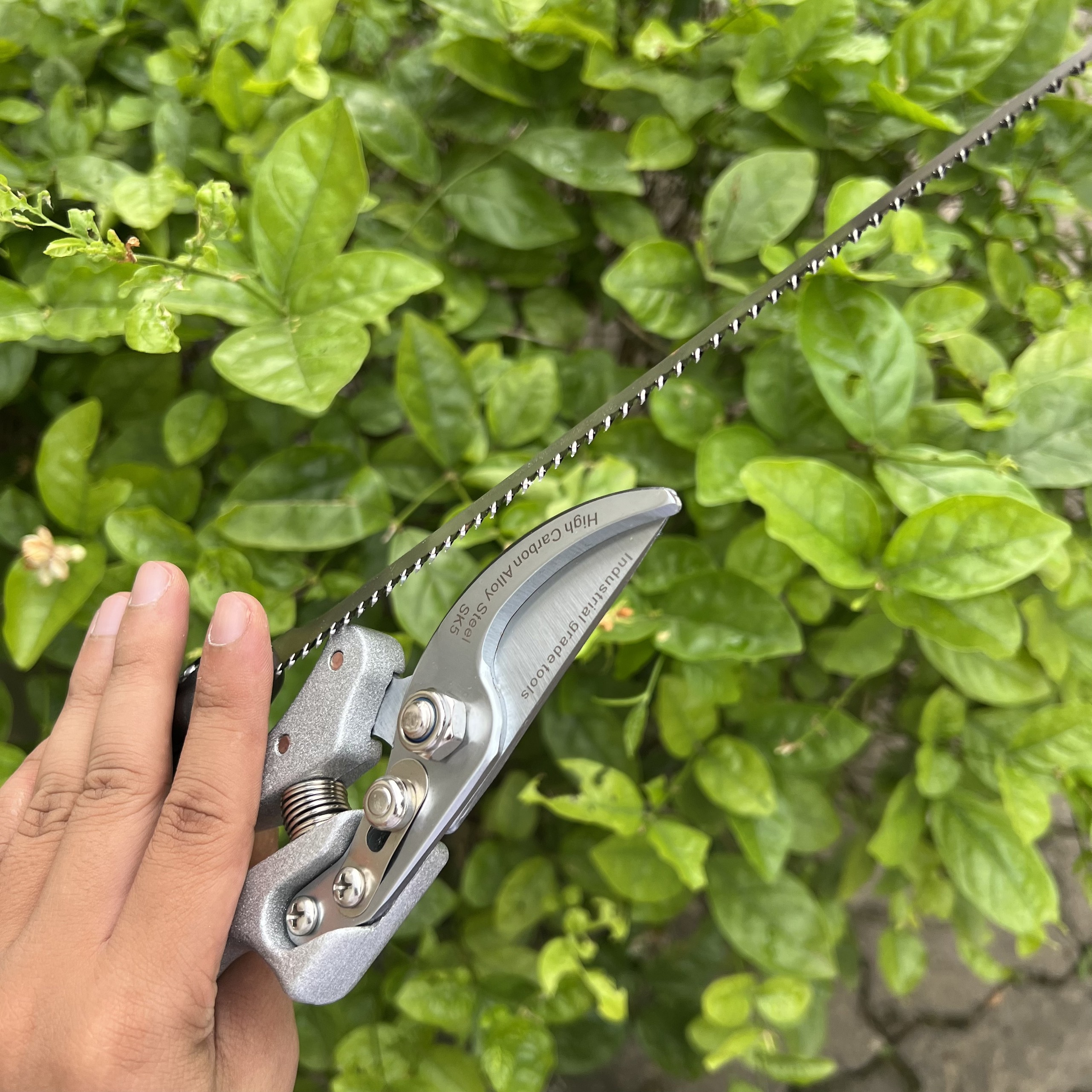 Combo Kéo Cắt Cành SK5 Nhật Bản + Cưa Lách Lưỡi Bén ,Dụng Cụ Bonsai, Đồ Dùng Làm Vườn