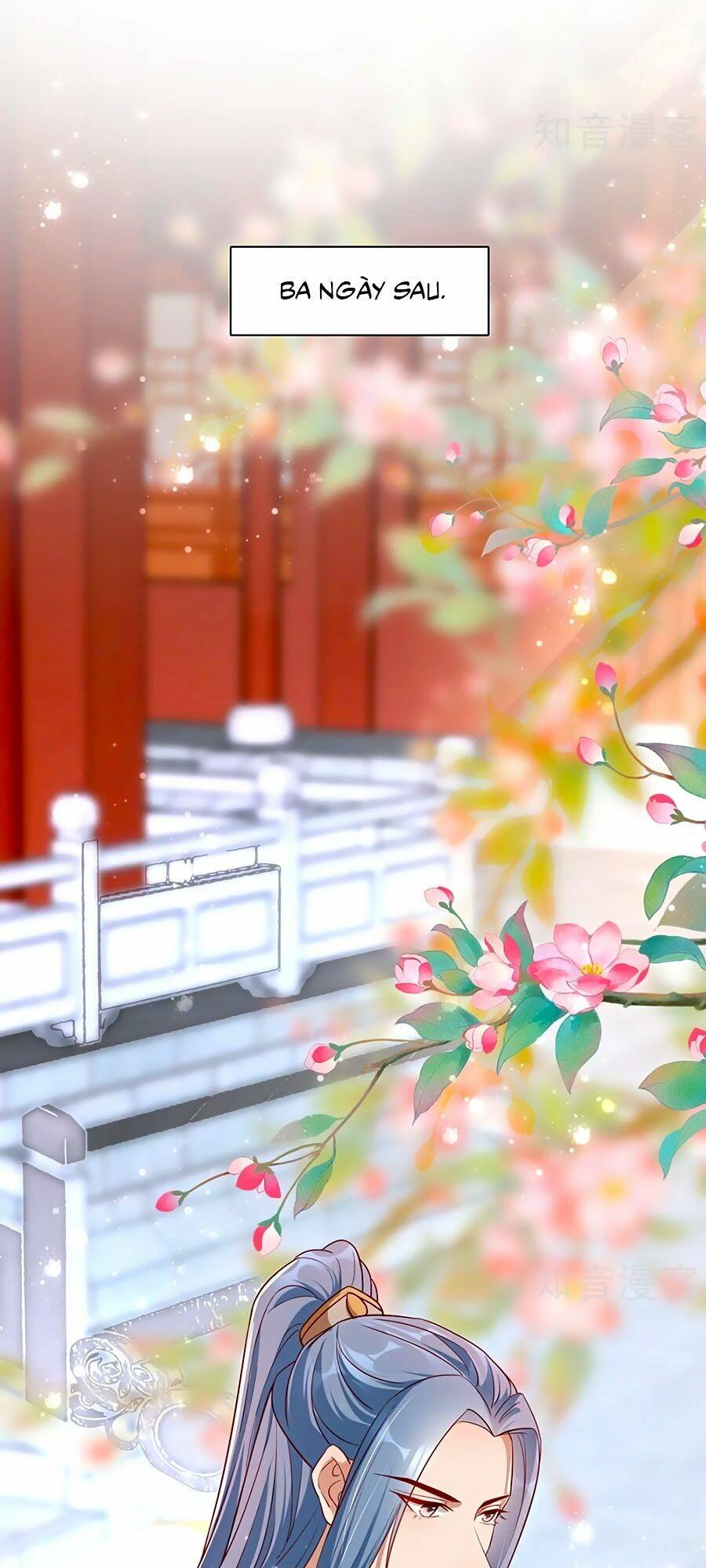 gian phi như thử đa kiều chapter 110 18