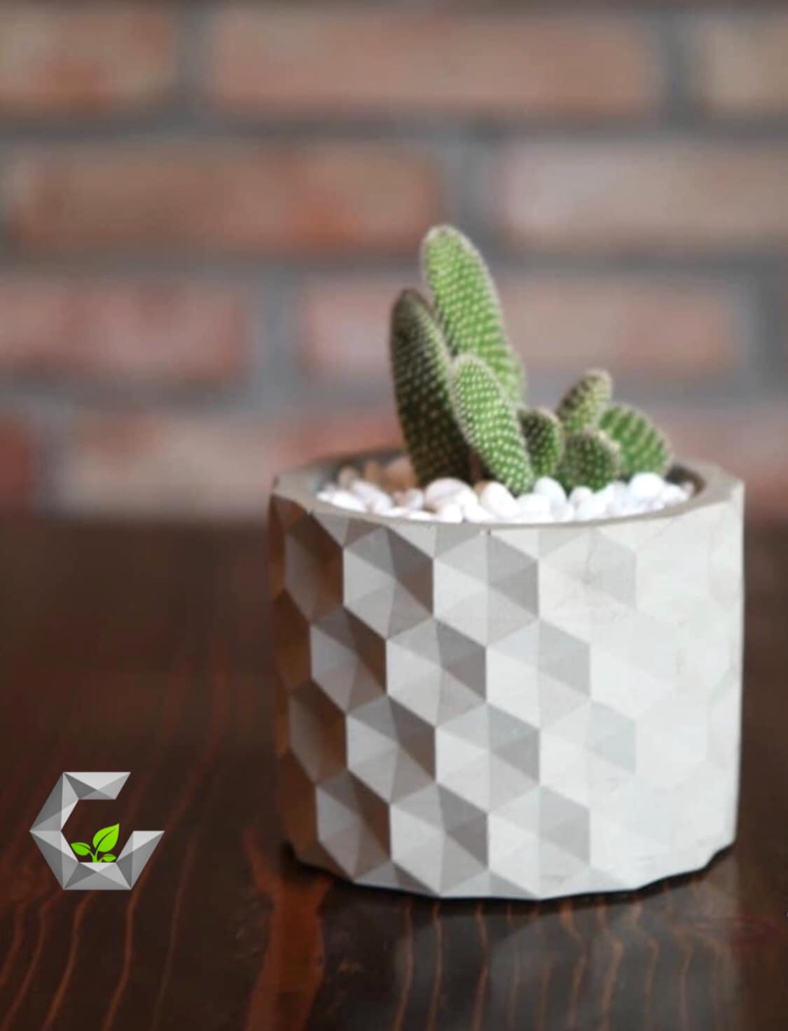SET 2 Đĩa, dĩa lót chậu bằng xi măng 12.2x1cm hàng SeeArt Origami, Dĩa lót chậu cây cảnh, bonsai, sen đá lithops