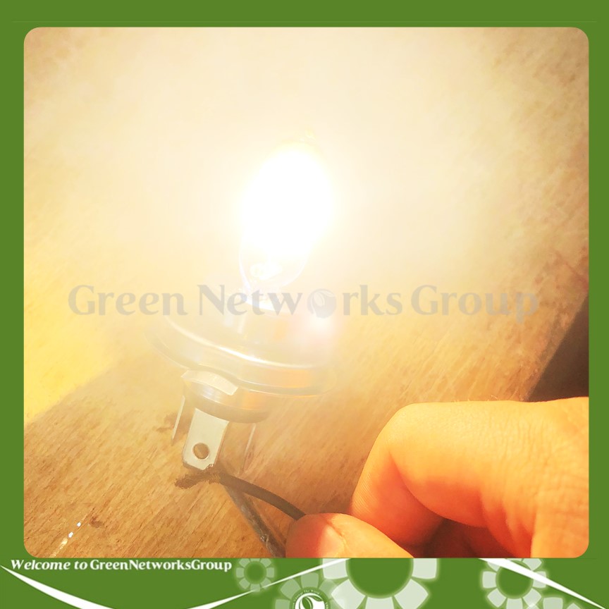 Bóng đèn Halogen Tiger HS1 chân H4 35W – 12V Green Networks Group