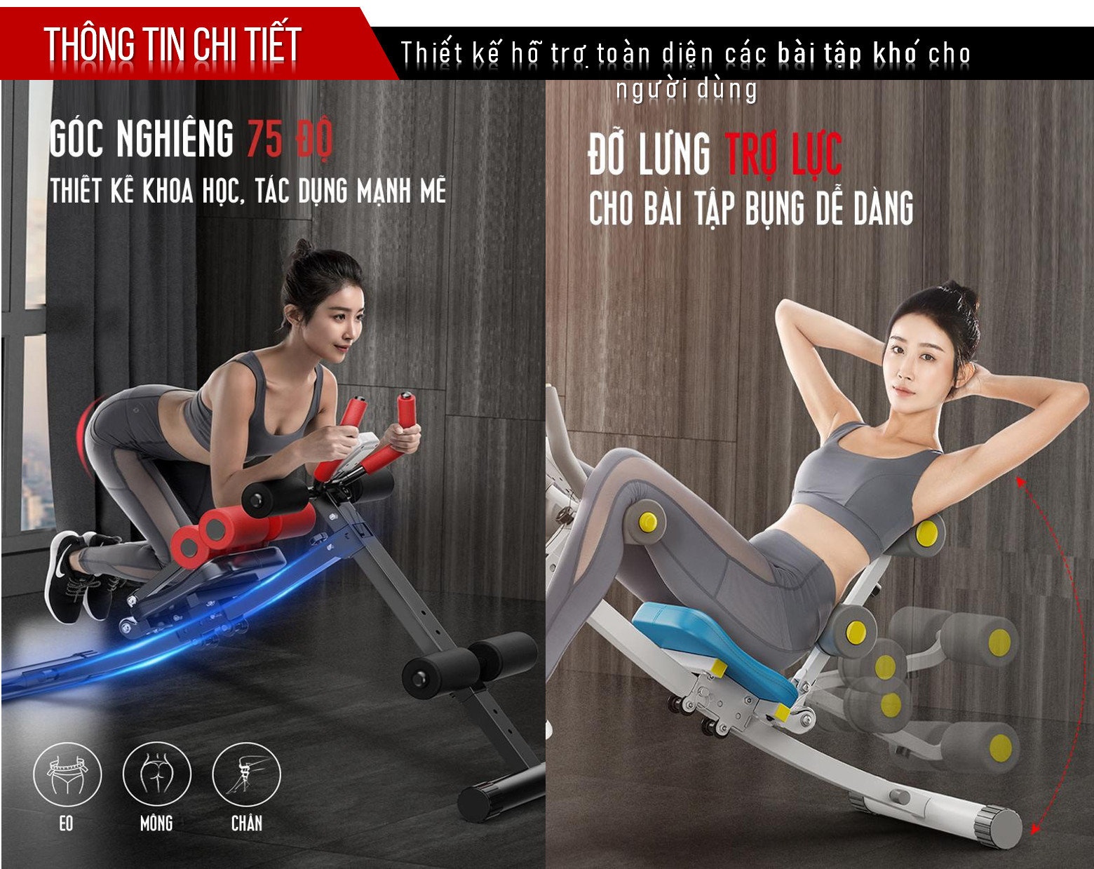 Ghế Tập Bụng, Thể Lực Đa Năng - Máy Tập Bụng - Máy Tập Eo - Ghế Tập Gym,Ghế tập thể hình tại nhà gấp gọn, khung thép chịu lực - Ghế Tập Cơ Bụng Đa Năng 6 trong 1