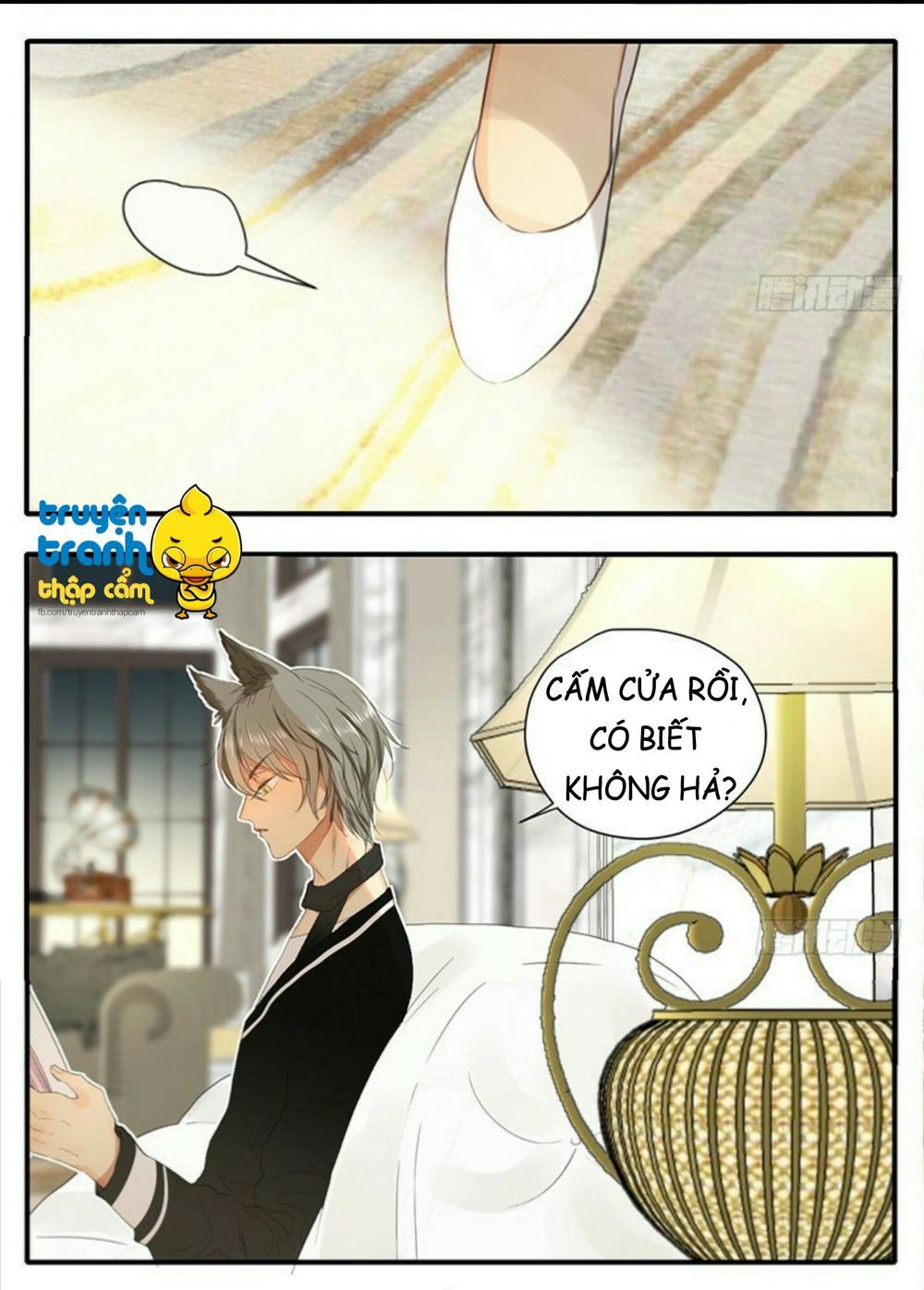 cứu mạng ! loài mèo thống trị thế giới rồi ! chapter 35 18