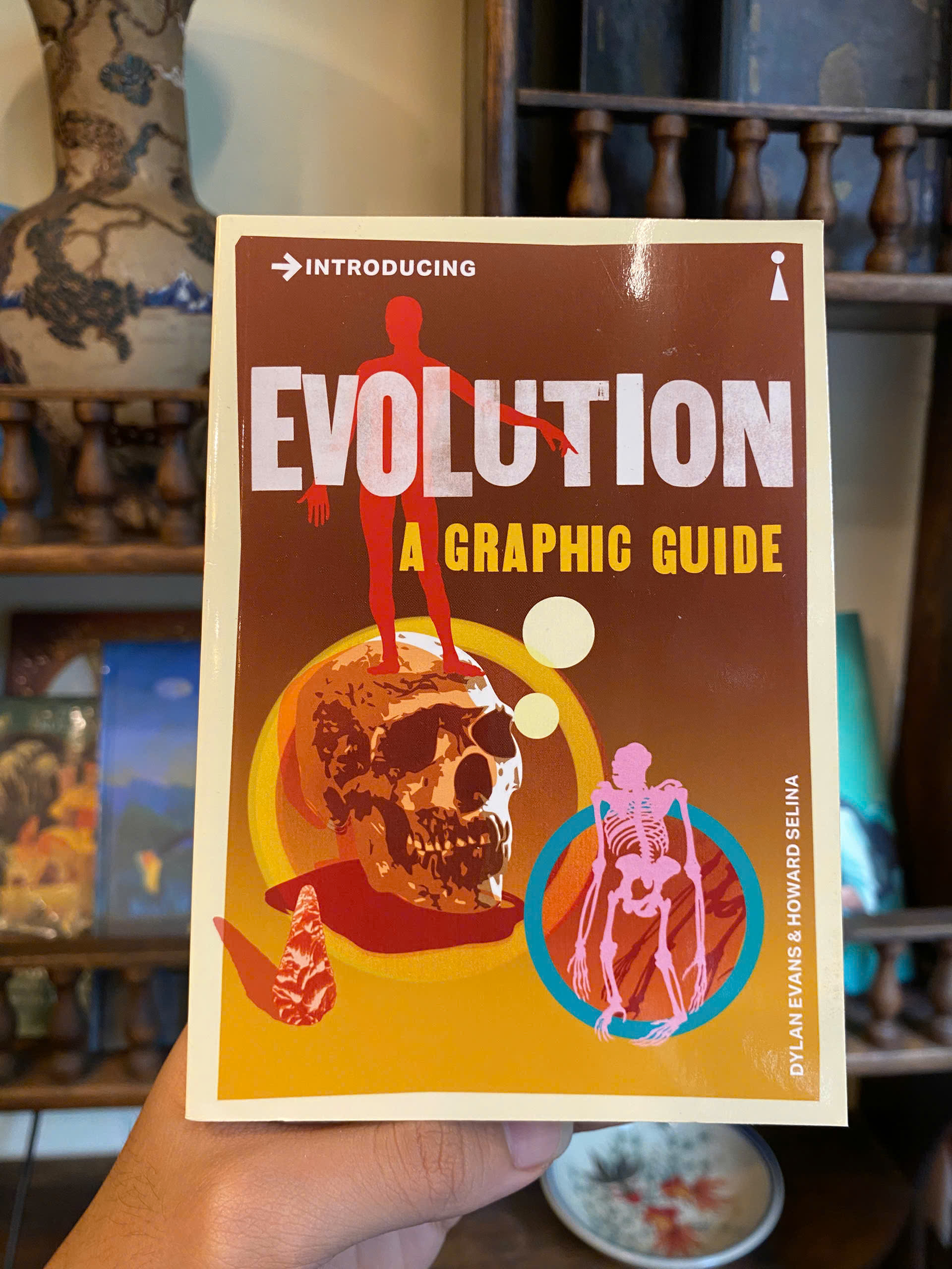 Sách - Introducing Evolution A Graphic Guide by Dylan Evans - Icon Books Graphic Guide Series