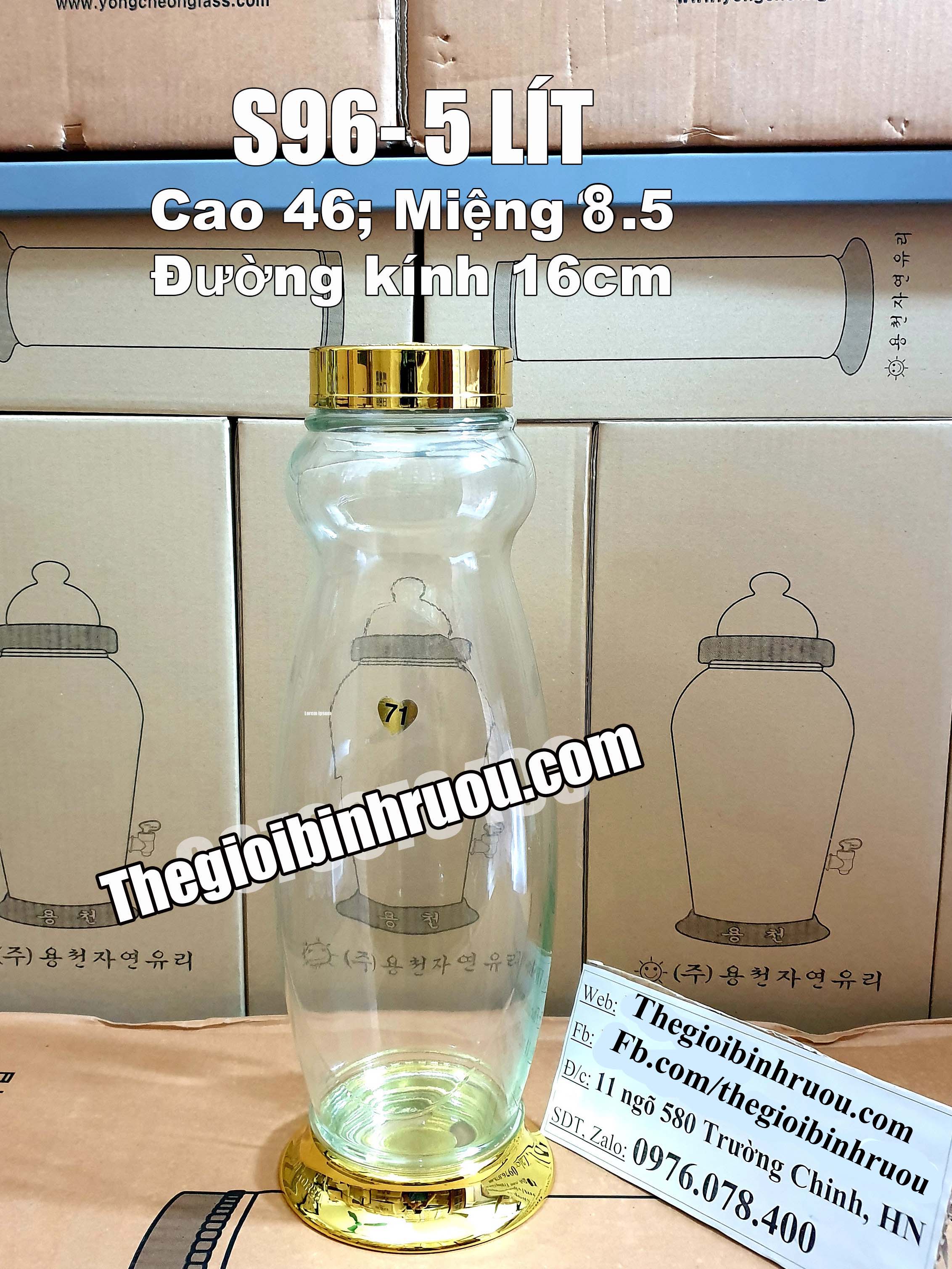 Bình Thủy Tinh Ngâm Rượu Sâm Hàn Quốc 5L - Bình Hình Độc Lạ