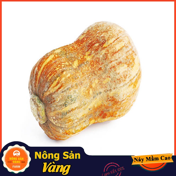 Hạt giống Bí Đỏ Hồ Lô ( Gói 10 Hạt ) - Nông Sản Vàng