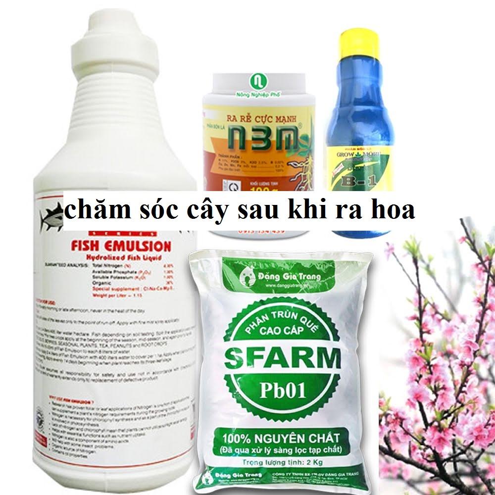 Bộ sản phẩm chăm sóc cây sau khi ra hoa, thu hoạch quả ( đạm cá, n3m, b1, phân Sfarm)