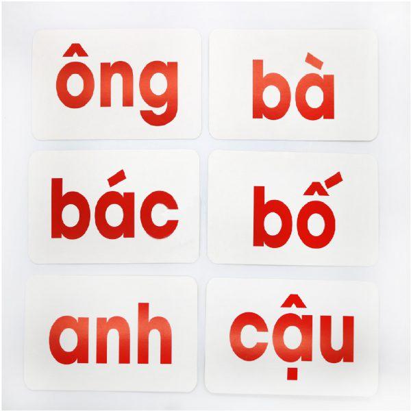 Flashcard - Dạy Trẻ Học Đọc Glenn Doman - Bộ 100 thẻ học thông minh phát triển ngôn ngữ cho trẻ từ 0-6 tuổi