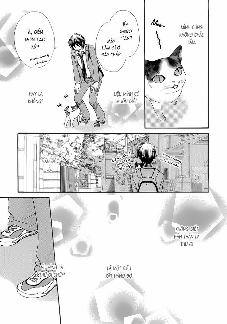 nekoka danshi no shitsukekata chapter 7 19