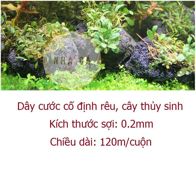 Cước buộc rêu, cố định cây thủy sinh