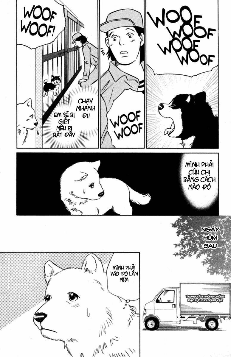 deep love - pao no monogatari chapter 5 16