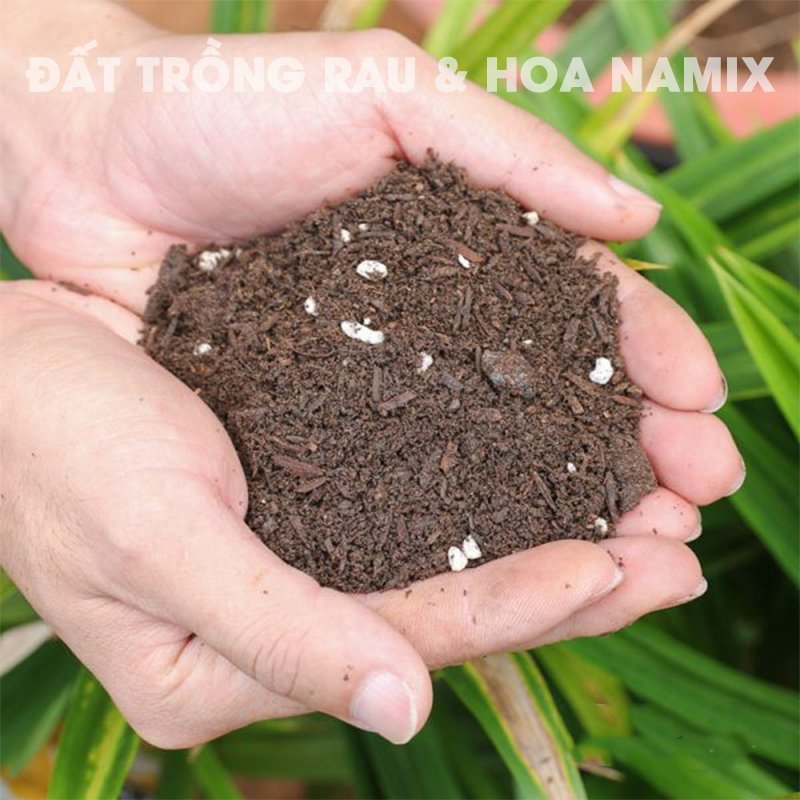 Đất sạch Potting Mix trồng HOA HỒNG,DÂU TÂY, RAU, CÂY CẢNH