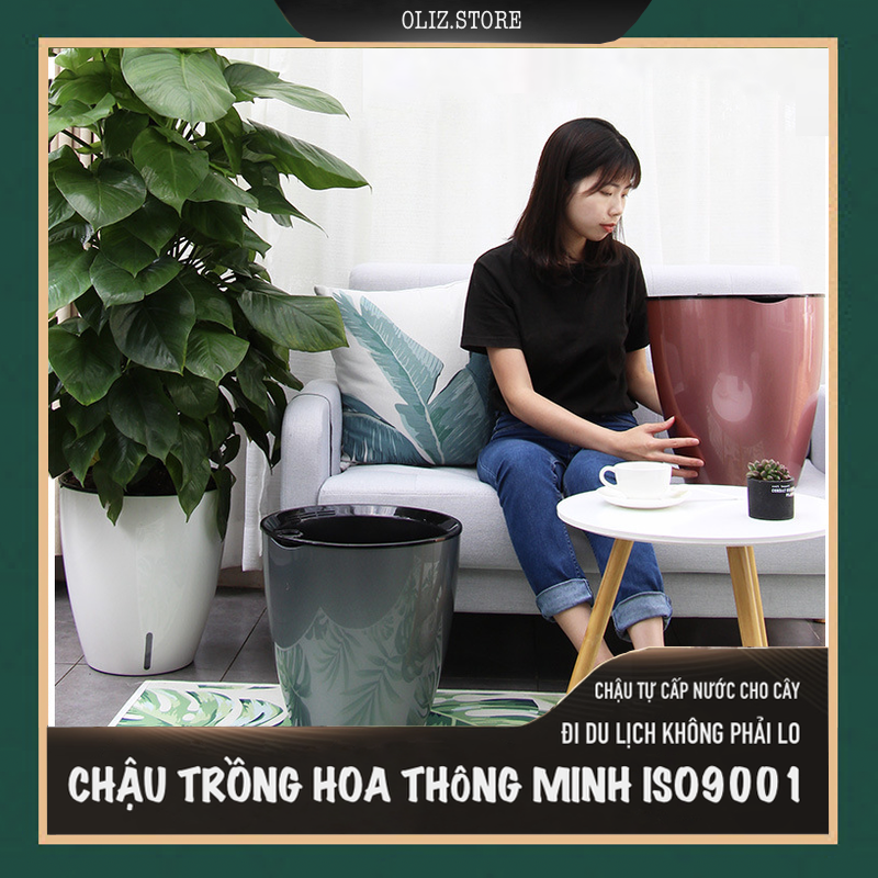 Chậu trồng cây H103. Chậu trồng cây có chức năng tự tưới nước. Loại cao cấp được phun sơn tĩnh điện màu kim loại