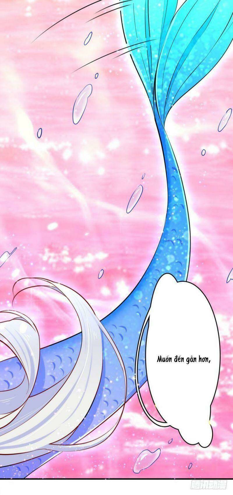 nhân ngư học trưởng, đừng ôm ta! chapter 4 22